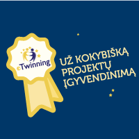 Projektai